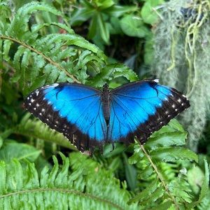 Meet your Posher, Mikaela